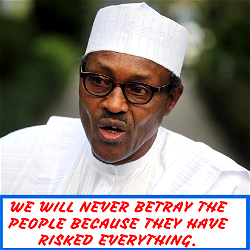 I pledge to Buhari my President