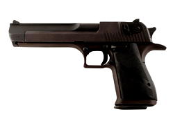 Toddler shoots mother dead