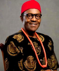 Appointments: Shun ministerial positions, Ohanaeze urges Igbo