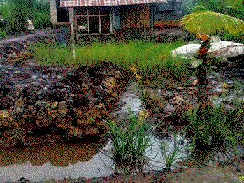 From environmental threat to environment-friendly energy