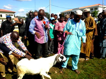 STOMACH INFRASTRUCTURE: Fayose distributes Sallah rams in Ekiti