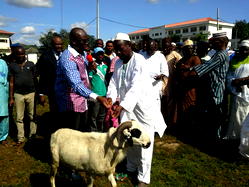 Sallah: Muslims defy leaders order, collect Fayose’s rams in Ekiti
