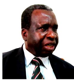 Incentivise operators to develop oil & gas fields —Former NDDC boss