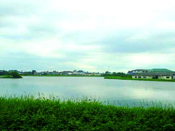 Looming disaster, as Delta govt burrow pit overflows, wreaks havoc on citizens