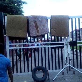 Breaking: UNILAG students protest over bedbugs, mosquitoes infested hostels