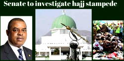 Senate to investigate Hajj stampede