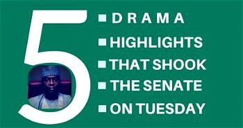 See 5 drama highlights that shook the Senate Tuesday