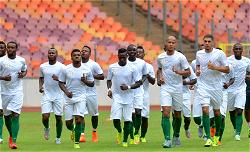 Oliseh to join Eagles camp late