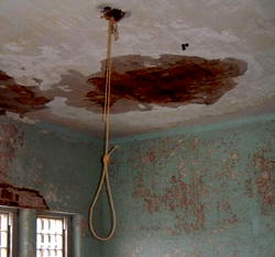 ‘No forgiveness’ as Pakistan hangs school massacre convicts
