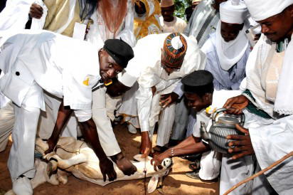 Prices of ram rise,  sellers lament low patronage