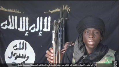 Boko Haram remains defeated —Lafiya Dole Commander