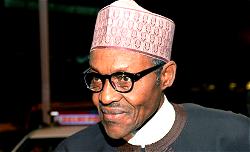 Dear President Buhari, you do not have to appoint 36 ministers!
