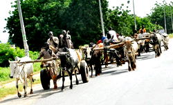 Arewa’s songs of conquest (2)