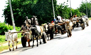 Arewa’s songs of conquest (2)