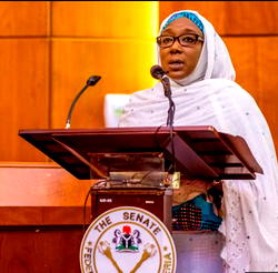 Ministerial List: How Nigerians reacted to screening of Yobe nominee