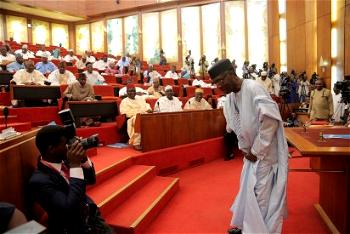 Ministerial nominees screening: The drama, intrigues