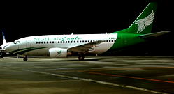 Critics of national carrier project harming Nigerians – Aligbe