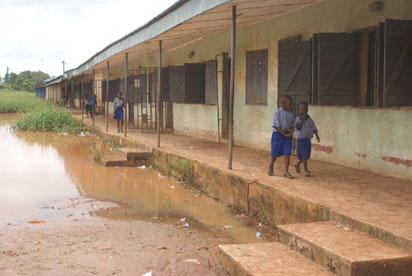 Snakes invade school as flood submerges Edo community