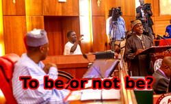 PDP senators vow to withdraw support for Saraki if Amaechi is confirmed