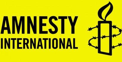 Amnesty Int'l