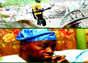 Breaking: Again, Fulani herdsmen invade Falae’s farm
