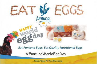 World Egg Day: Why you should eat egg