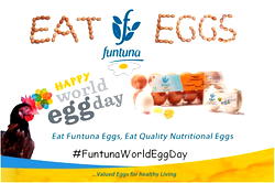 World Egg Day: Why you should eat egg