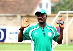 Emenike’s retirement can lead to disorder in Eagles — Ikhana