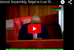 Watch Ministerial Screening Live