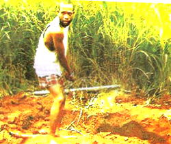 Man kills, buries  pregnant girl-friend