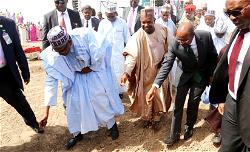 ‘Ojudu should rather advise President Buhari to go back to his farm Daura’