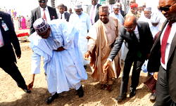 ‘Ojudu should rather advise President Buhari to go back to his farm Daura’