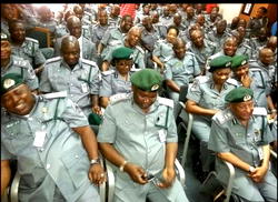 Customs strike force impounds 5 trailer-loads of smuggled rice worth N42m in 7days