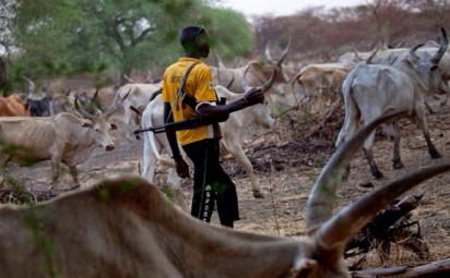 Fulani herdsmen e1446501950817 Coalition wants state of emergency declared in Benue,Taraba