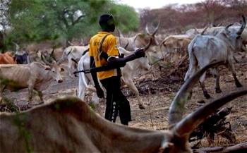 Nimbo killings: 5 herdsmen docked