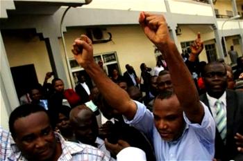 Nnamdi Kanu: South-East Rights groups raise concern