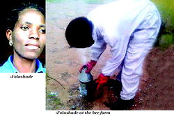From a hobby, bee-keeping has become blessing to me – Folashade Ojebiyi