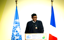 Depletion of Lake Chad threatens 5m people —Buhari