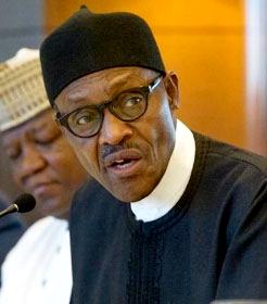 Buhari alone can’t change Nigeria – Tomori