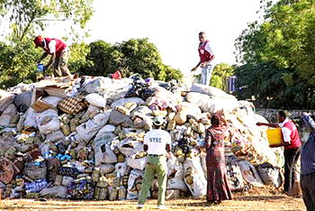 NDLEA burns 110,542 tonnes of cannabis in Ondo