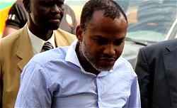 Nnamdi Kanu Detention: Rights groups want boycott of courts