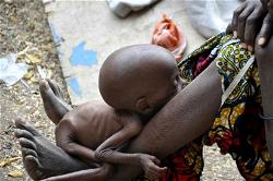Dying of hunger: What is a famine?