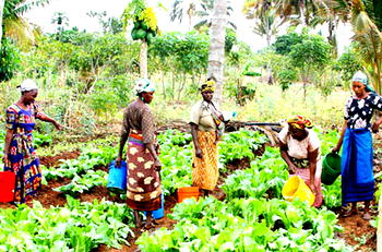 Exploring the Songhai option for Oyo Agric revolution