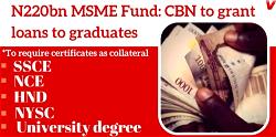 N220bn MSME Fund: CBN to grant loans to graduates