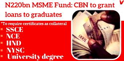 N220bn MSME Fund: CBN to grant loans to graduates