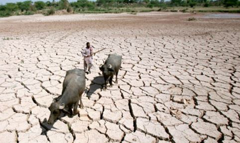Climate change