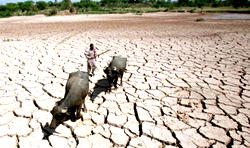 Climate change and Nigeria’s economic development