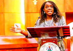 FG’ll make tough decisions in 2016, says Finance Minister