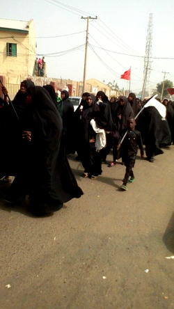 Photos: Shiites protest killing of members in Bauchi, Yobe, Kaduna