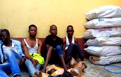 RRS arrests 4 suspects, recover 6 bags of Indian hemp